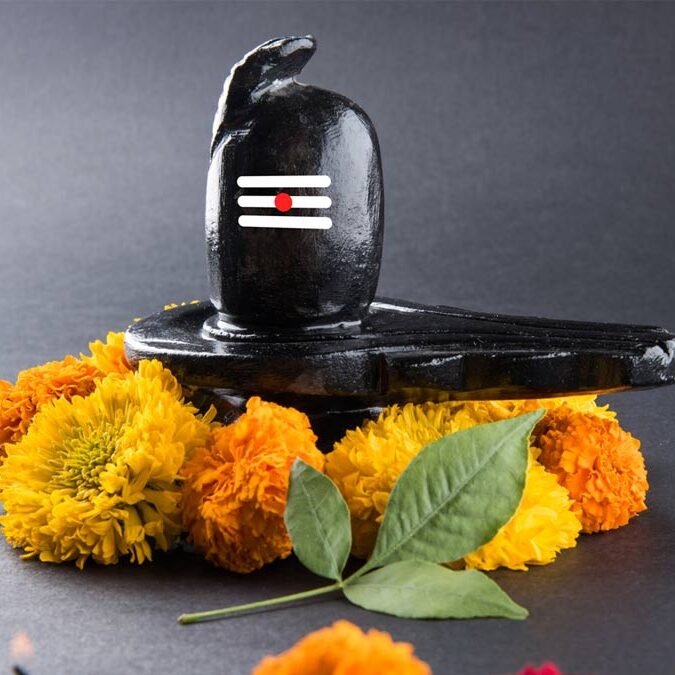 शिवलिंग स्थापना