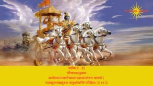 Read more about the article Bhagwat Geeta Chapter 2 Verse-Shloka 11 – गीता अध्याय 2 श्लोक 11 अर्थ सहित – अशोच्यानन्वशोचस्त्वं प्रज्ञावादांश्र्च…..