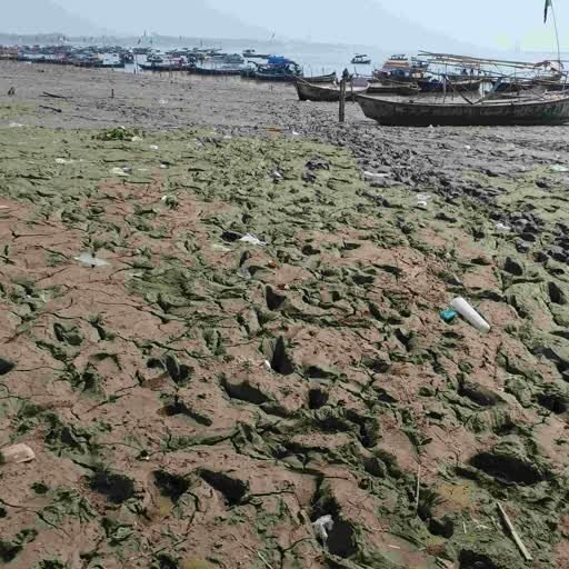 संगम की मिट्टी edited