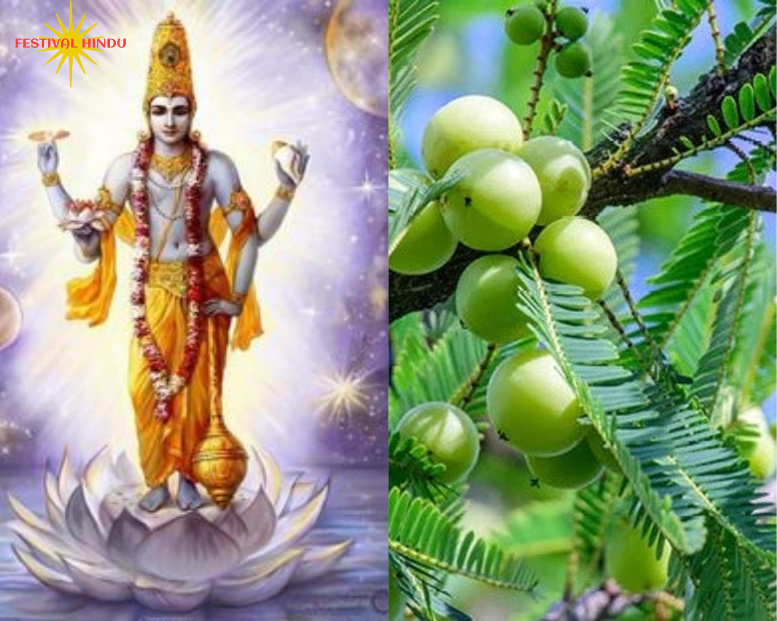 You are currently viewing March Ekadashi 2025 Tithi,Mahatva,Puja Vidhi,Upay: आमलकी एकादशी 2025 में कब है? जाने क्यों की जाति है इस एकादशी पर आंवले के वृक्ष की पूजा