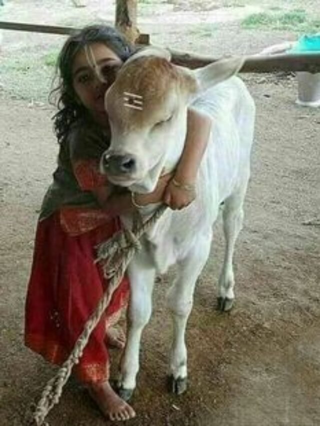 CG1