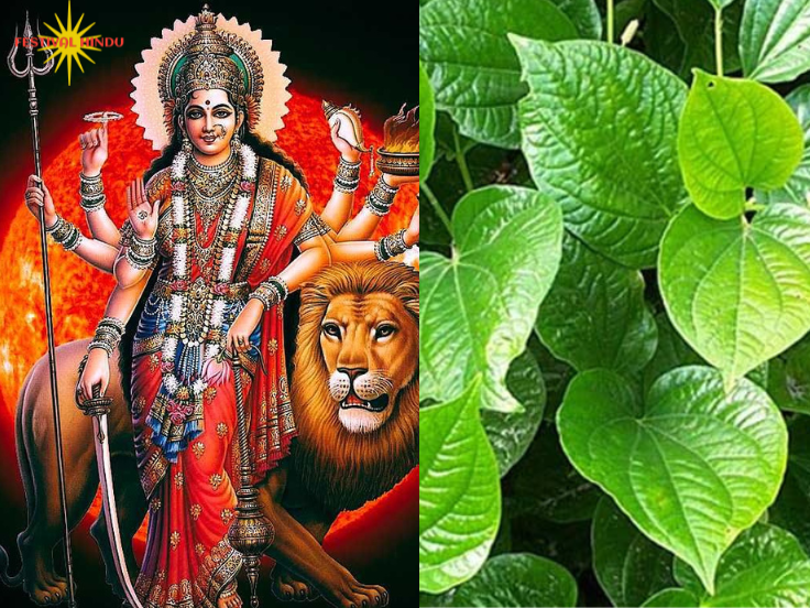 पान