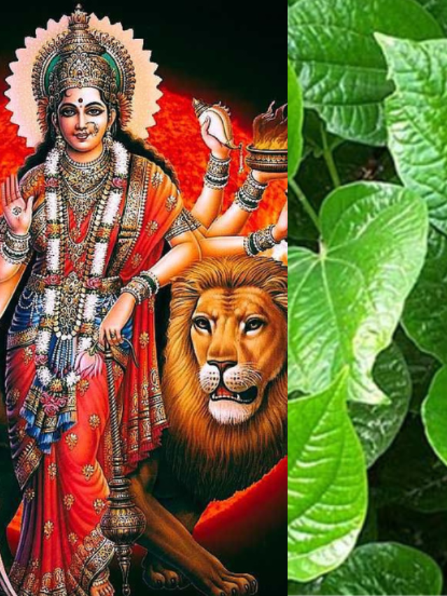 Chaitra Navratri 2025 Upay: चैत्र नवरात्रि में पान के पत्ते से करें अचूक उपाय
