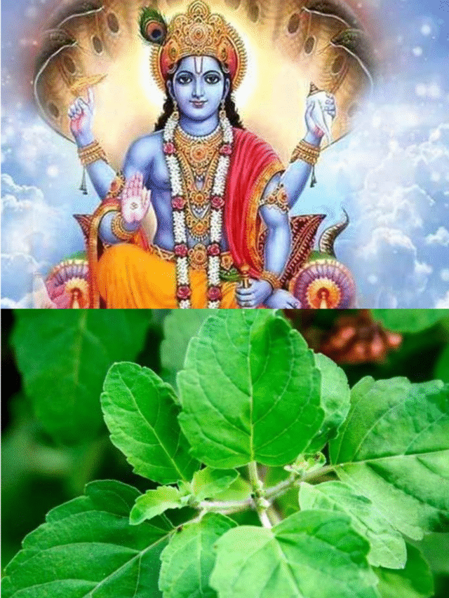 मोहिनी एकादशी 2025