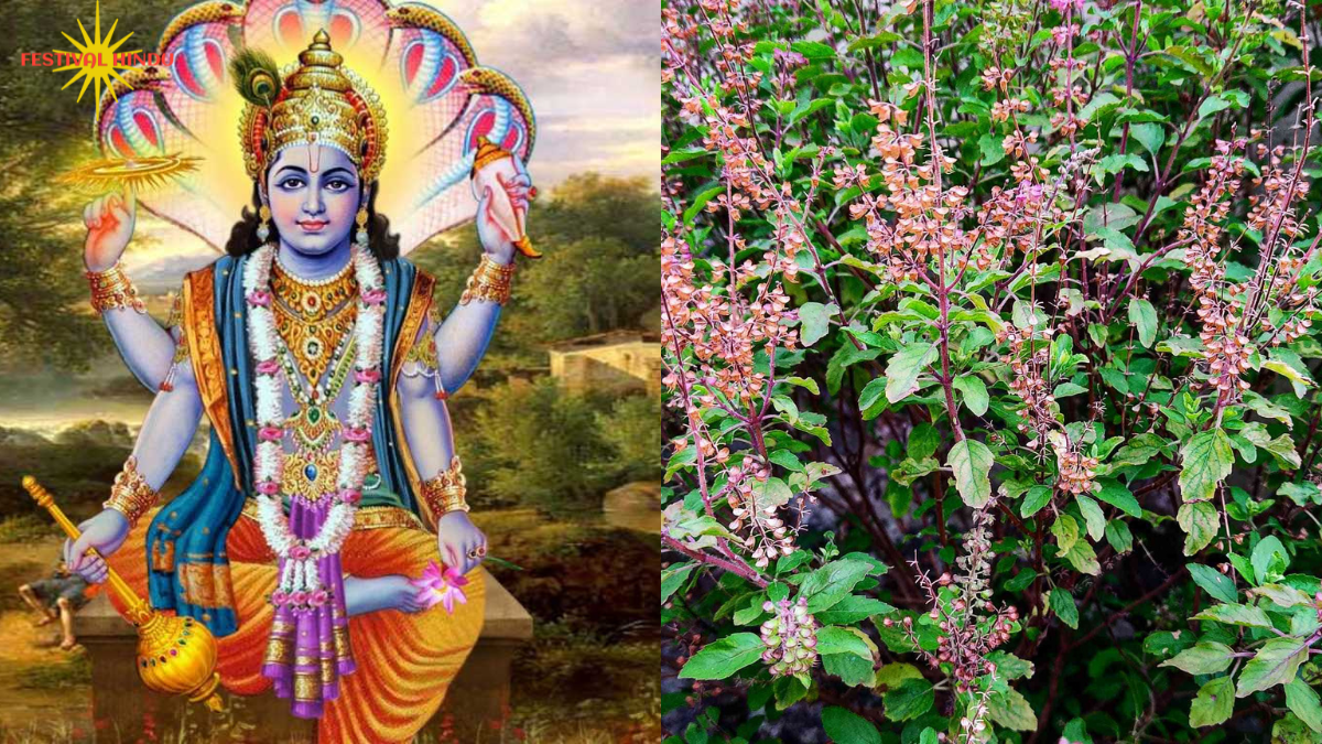 तुलसी