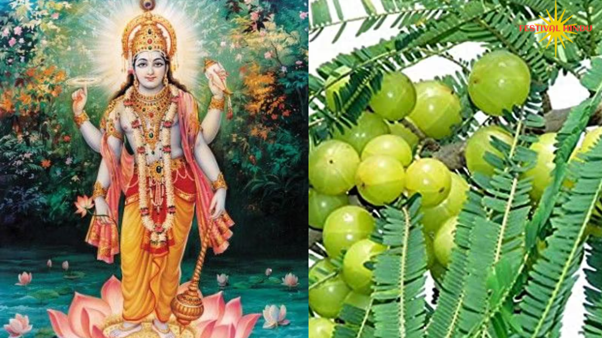 अक्षय नवमी